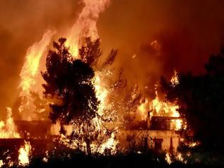 Φωτογραφία για Η οργάνωση και ο συντονισμός είναι αυτά που θα απαλύνουν τον πόνο των συνανθρώπων μας - Του Κώστα Μαλικόπουλου