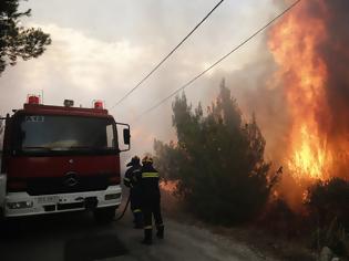 Φωτογραφία για «Θα αποδοθούν ευθύνες στους υπεύθυνους της πυρκαγιάς» διαβεβαιώνει η Ένωση Εισαγγελέων Ελλάδος