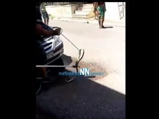 Φωτογραφία για Ναύπακτος: Φίδι κουλουριάστηκε μέσα σε μηχανή αυτοκινήτου (ΔΕΙΤΕ VIDEO)