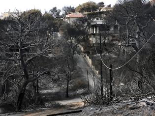 Φωτογραφία για Ο πληθυσμός είχε στη διάθεσή του σχεδόν μηδενικό χρόνο - Αποκαλυπτικά τα συμπεράσματα για την φωτιά στο Μάτι από το ΕΚΠΑ [pic]