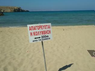 Φωτογραφία για Κρήτη: Θαλάσσια ρύπανση στον Καρτερό - Απαγορεύτηκε η κολύμβηση