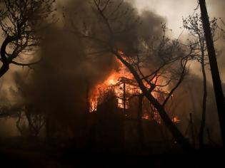 Φωτογραφία για Αξιωματικός Ειδικών Δυνάμεων: Η πυρκαγιά στο Νέο Βουτζά όπως την έζησα