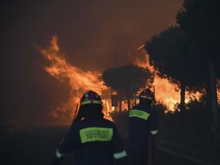 Φωτογραφία για Observer: Οργισμένοι οι Έλληνες πυροσβέστες για τους χειρισμούς της κυβέρνησης στις φονικές πυρκαγιές