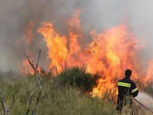 Φωτογραφία για Άμεση κατάσβεση πυρκαγιών σε Σκουρτού και Καστανούλα