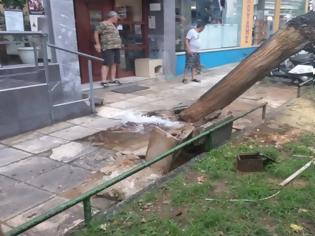 Φωτογραφία για Έπεσε δέντρο και έσπασε αγωγό της ΕΥΑΘ στο κέντρο της Θεσσαλονίκης [photos]