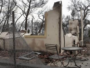 Φωτογραφία για Δήμαρχος Ραφήνας: Θα έχουμε 120 νεκρούς