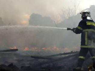 Φωτογραφία για Στοιχεία για τις φετινές πυρκαγιές: Στάχτη 86.000 στρέμματα σε όλη την Ελλάδα