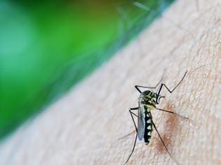 Φωτογραφία για Εγκρίθηκε νέο πρωτοποριακό φάρμακο για την πιο «επίμονη» μορφή της ελονοσίας