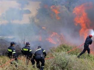 Φωτογραφία για ''Μου άρεσε να βάζω φωτιές για να παρακολουθώ τους πυροσβέστες να τις σβήνουν''