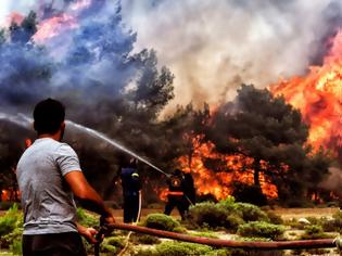 Φωτογραφία για Στοιχεία σοκ για τις φετινές πυρκαγιές χιλιάδες στρέμματα