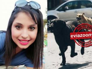 Φωτογραφία για Έξω Παναγίτσα: Αγέλη σκύλων επιτέθηκε σε 29χρονη Χαλκιδέα που επέβαινε σε ποδήλατο - «Ευχαριστώ τον Θεό που σώθηκα»! (ΦΩΤΟ)