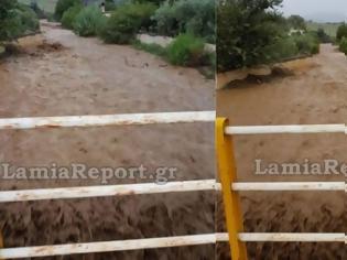 Φωτογραφία για Λαμία: Συναγερμός για εγκλωβισμένο άτομο από χείμαρρο