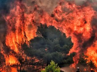 Φωτογραφία για Telegraph: Η Ευρώπη στις φλόγες – Μεγάλη έρευνα για την κλιματική αλλαγή