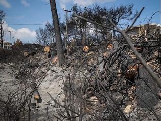 Φωτογραφία για «Σβήσαμε τα πτώματα με τον πυροσβεστήρα του περιπολικού»