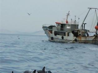 Φωτογραφία για Μόνο πέντε χώρες κρατούν στα χέρια τους το 86% της παγκόσμιας αλιείας!