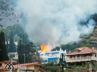 Φωτογραφία για Πυρκαγιά στον ΑΣΤΑΚΟ κοντά σε σπίτια, την πρόλαβαν οι πυροσβέστες | ΦΩΤΟ: Make art