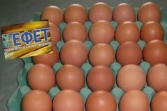 Ο ΕΦΕΤ προειδοποιεί: τεράστια προσοχή με τα αβγά που αγοράζετε. πως θα καταλάβετε τα ακατάλληλα