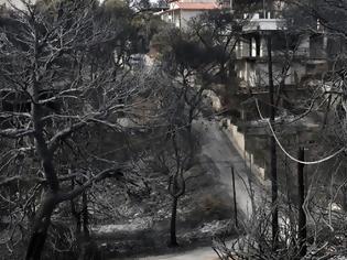 Φωτογραφία για Επιπτώσεις στην υγεία των ανθρώπων σε περιοχές που έχουν υποστεί πυρκαγιές