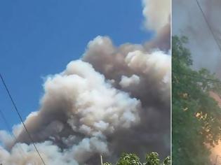 Φωτογραφία για Μεγάλη φωτιά στην Εύβοια -Εκκενώθηκαν δύο χωριά [εικόνες & βίντεο]