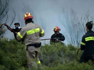 Φωτογραφία για Στο νοσοκομείο ένας πυροσβέστης από τη φωτιά στο Κοντοδεσπότι