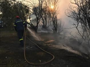 Φωτογραφία για Πυρκαγιά στο Κοντοδεσπότι: Δορυφορική καταγραφή των ζημιών της πυρκαγιάς από την υπηρεσία «Κοπέρνικος»!
