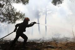Μυτιλήνη: Κινδύνεψε από πυρκαγιά το περιαστικό άλσος Τσαμάκια