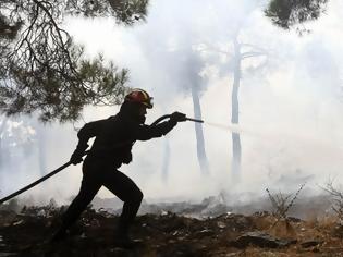 Φωτογραφία για Μυτιλήνη: Κινδύνεψε από πυρκαγιά το περιαστικό άλσος Τσαμάκια