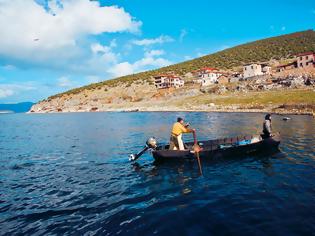Φωτογραφία για Μάστιγα η εμφάνιση φυτοπλαγκτόν στο Θρακικό πέλαγος - Χωρίς μεροκάματο οι ψαράδες