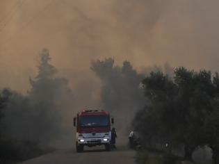 Φωτογραφία για ΕΑΚΠ: Συνθήκες εργασίας και ελλιπής διοικητική μέριμνα για τους πυροσβέστες κατά τη φωτιά στην Εύβοια