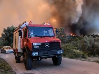 Φωτογραφία για Πυρκαγιά Κοντοδεσπότι: «Μας άφησαν νηστικούς για ώρες» καταγγέλουν οι πυροσβέστες - «Μας έδωσαν ψωμί και λουκάνικα αλλά δεν τα αγγίξαμε επειδή ήταν σε κακή ποιότητα»!