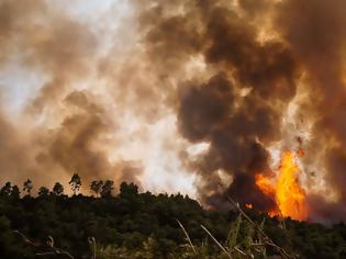 Φωτογραφία για Συνεχίζεται η μάχη με τις φλόγες στην Αμαλιάδα