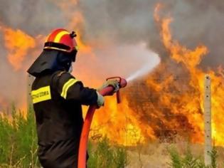 Φωτογραφία για Μπαράζ συλλήψεων στην Κρήτη για πυρκαγιές - Συνελήφθη και αστυνομικός