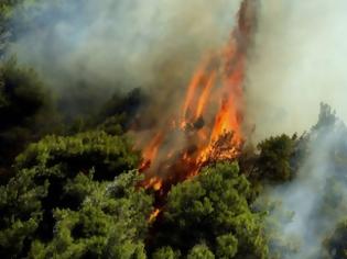 Φωτογραφία για Φωτιά: Μεγάλη πυρκαγιά στην Κέρκυρα - Εκκενώθηκε οικισμός
