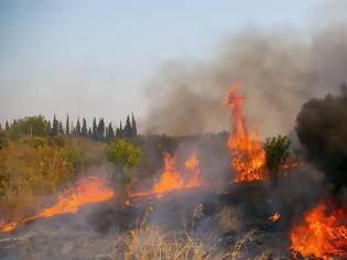 Φωτογραφία για Κέρκυρα: Υπό μερικό έλεγχο η φωτιά που ξέσπασε στους Ραχτάδες