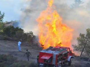 Φωτογραφία για Φωτιά στην περιοχή Κανάκια της Σαλαμίνας - Εκκενώθηκε κατασκήνωση προσκόπων