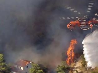 Φωτογραφία για “Και 50 ελικόπτερα να ΄χαμε δεν σβήναμε τη φωτιά” λέει ο άνθρωπος που τα νοικιάζει στην Ελλάδα