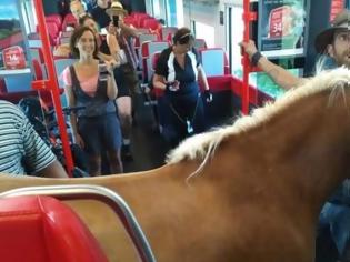 Φωτογραφία για Αυστρία: Πήρε το τρένο μαζί με το ...άλογό του