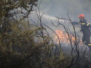 Φωτογραφία για Εύβοια: Ξέσπασε φωτιά στο χωριό Σταυρός!