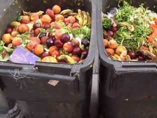 Φωτογραφία για Περισσότεροι από 2 δισ. τόνοι φαγητού αξίας 1,5 τρισ. δολαρίων θα πετιούνται στα σκουπίδια το 2030