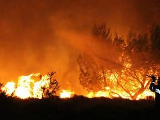 Φωτογραφία για 32χρονος έβαλε 9 φωτιές στην Εύβοια