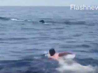 Φωτογραφία για Κολύμπησε δίπλα σε φάλαινα ανοιχτά των Σφακίων!