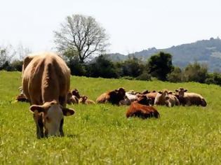 Φωτογραφία για Πληρωμές σε 852 δικαιούχους Βιολογικής Γεωργίας στην ΠΕ Αιτωλοακαρνανίας