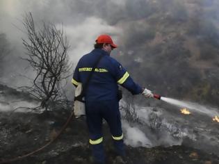 Φωτογραφία για Βόρεια Εύβοια: Πυρκαγιά στις Ροβιές - Δεν απειλούνται κατοικημένες περιοχές!
