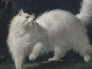 Φωτογραφία για Μια πρωτότυπη έκθεση με γάτες στην ιστορία της τέχνης