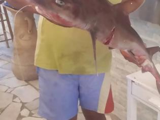 Φωτογραφία για Ψαράς έπιασε καρχαρία κοντά στην Γαύδο (φωτο)
