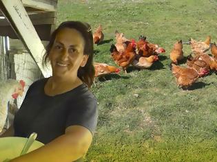 Φωτογραφία για ΒΟΝΙΤΣΑ: Πτηνοτροφική μονάδα Τα Καμπίσια της Νίκης Αθήνη: Φρέσκα προϊόντα από το κοτέτσι!