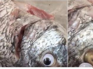 Φωτογραφία για Ιδιοκτήτης εστιατορίου κολλούσε ψεύτικα πλαστικά μάτια στα ψάρια