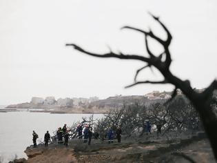 Φωτογραφία για «Καίει» βαθμοφόρους της Πυροσβεστικής η κατάθεση στον Εισαγγελέα για «πειραγμένα» στοιχεία στο Μάτι