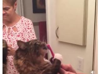 Φωτογραφία για Η γάτα που βουρτσίζει μόνη της τα δόντια της [Video]