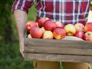 Φωτογραφία για Τα 5 πιο σημαντικά οφέλη που έχουν τα μήλα στον οργανισμό
